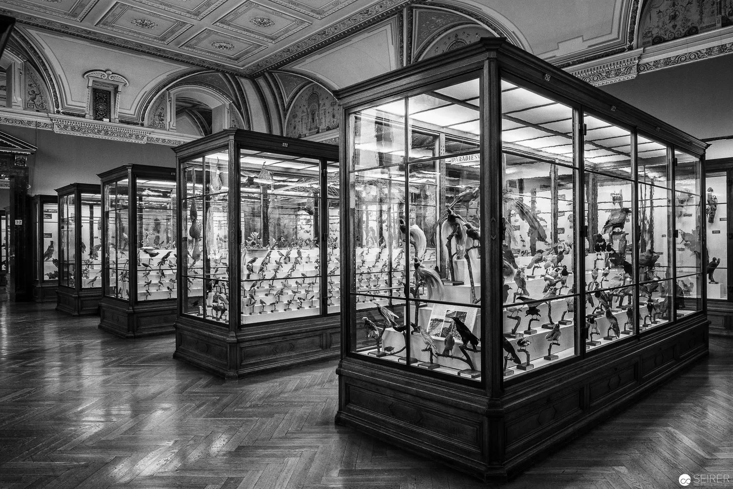 Naturhistorisches Museum Wien