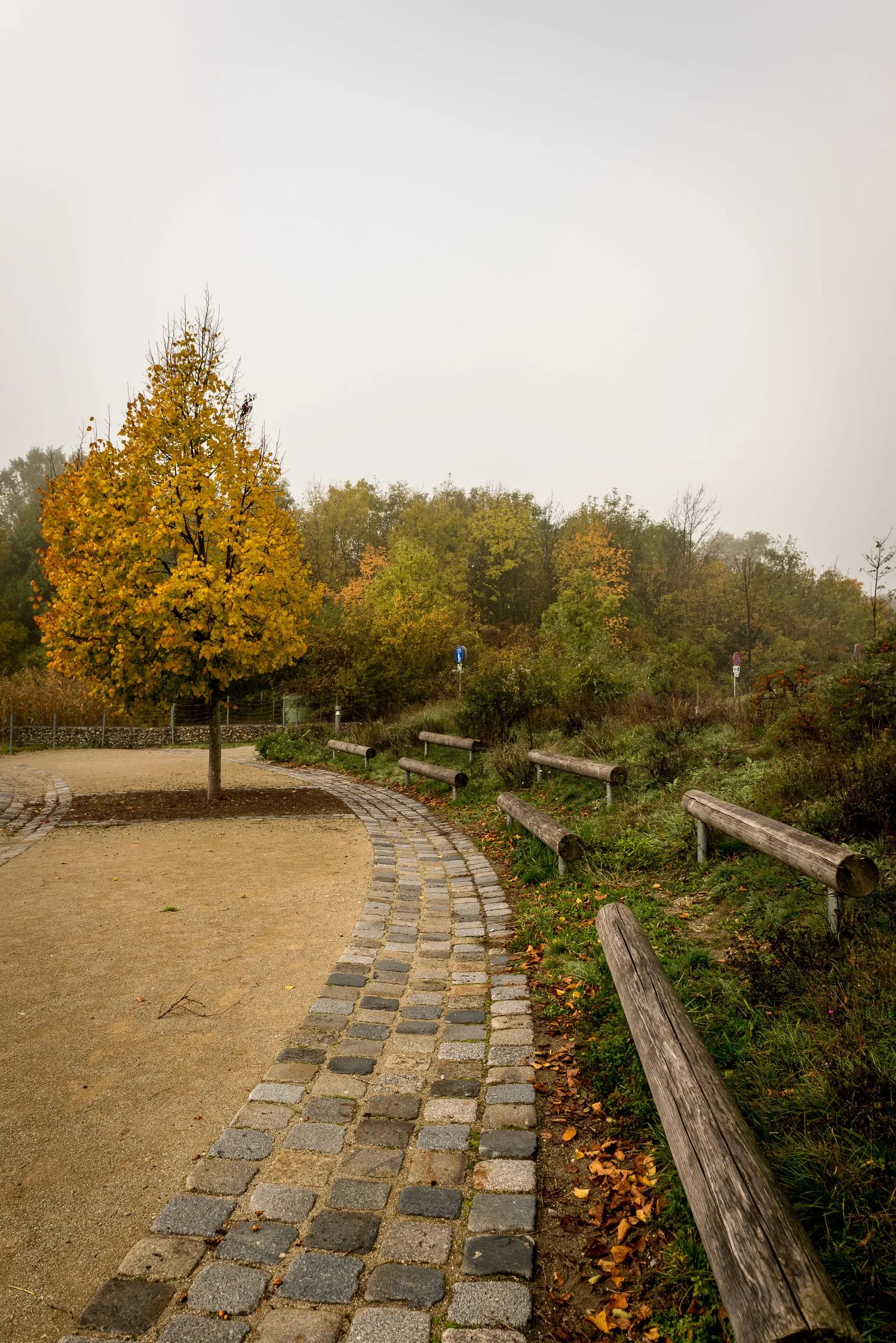 Projekt Lobau