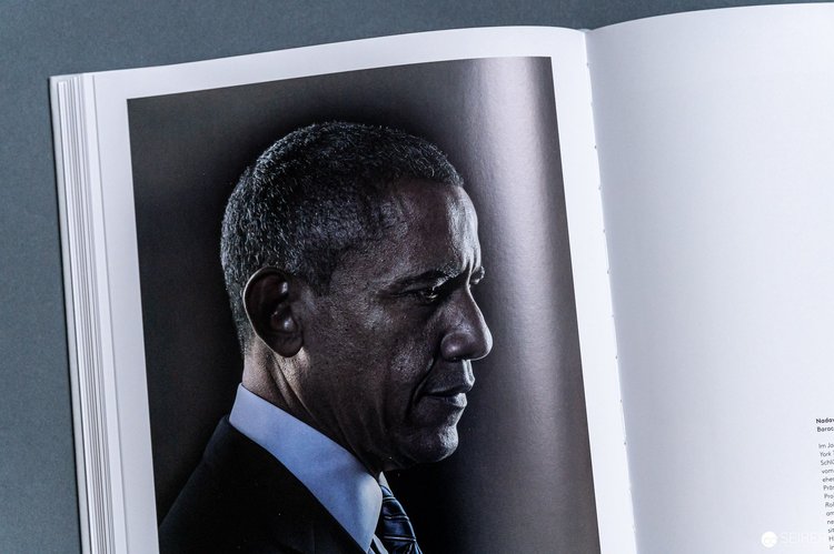 Cover: Das Portrait in der Fotografie